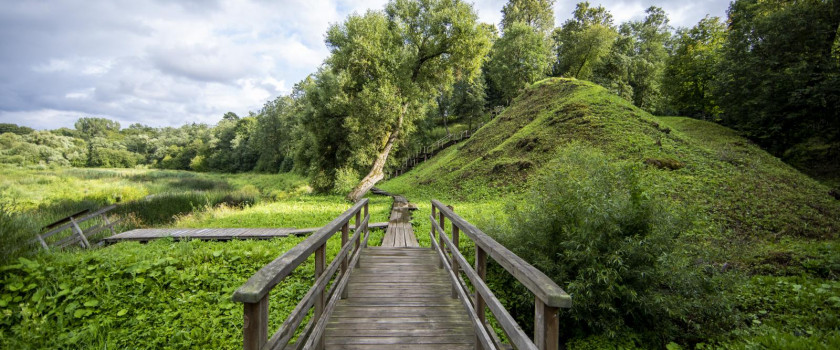 Kamanų rezervatas